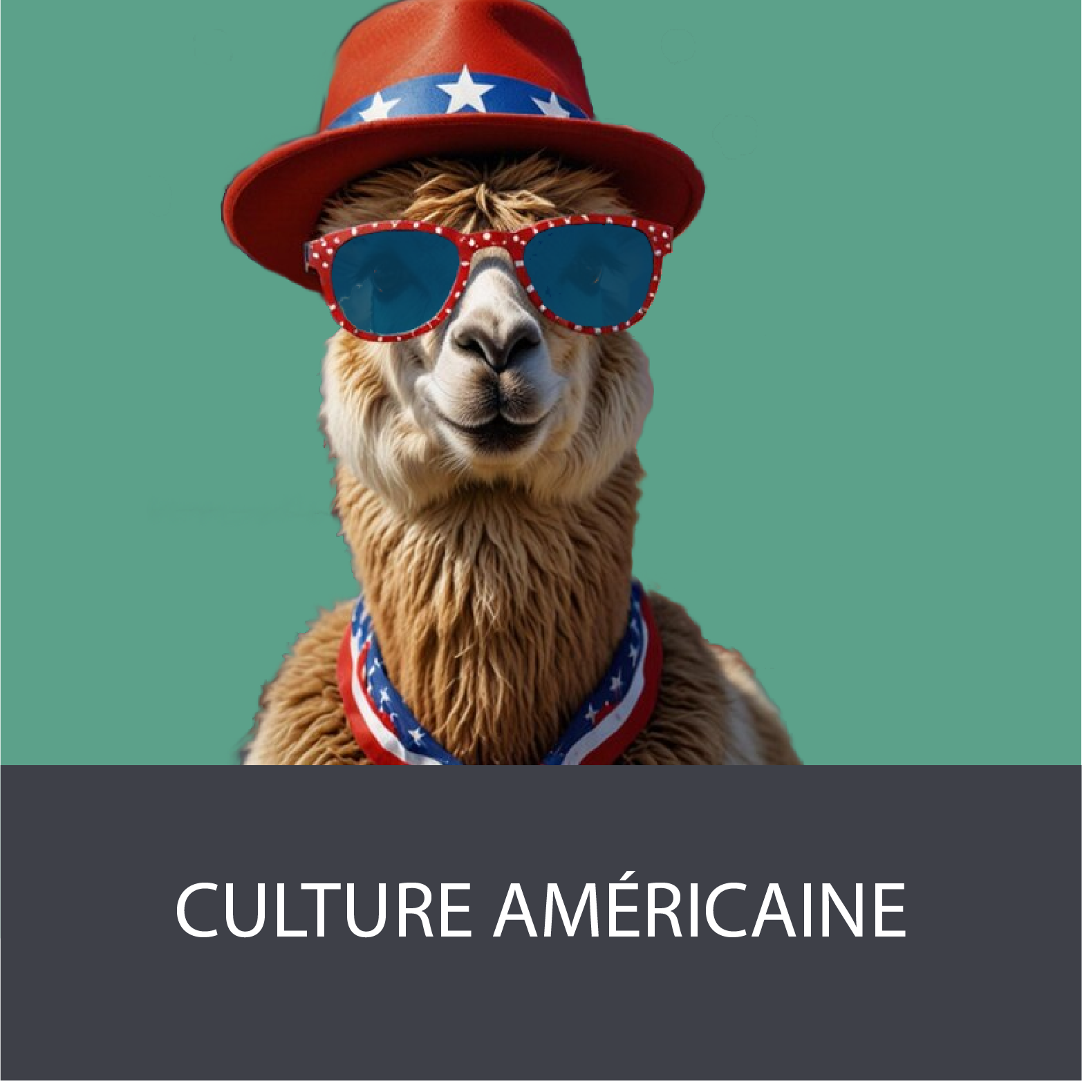 culture américiane