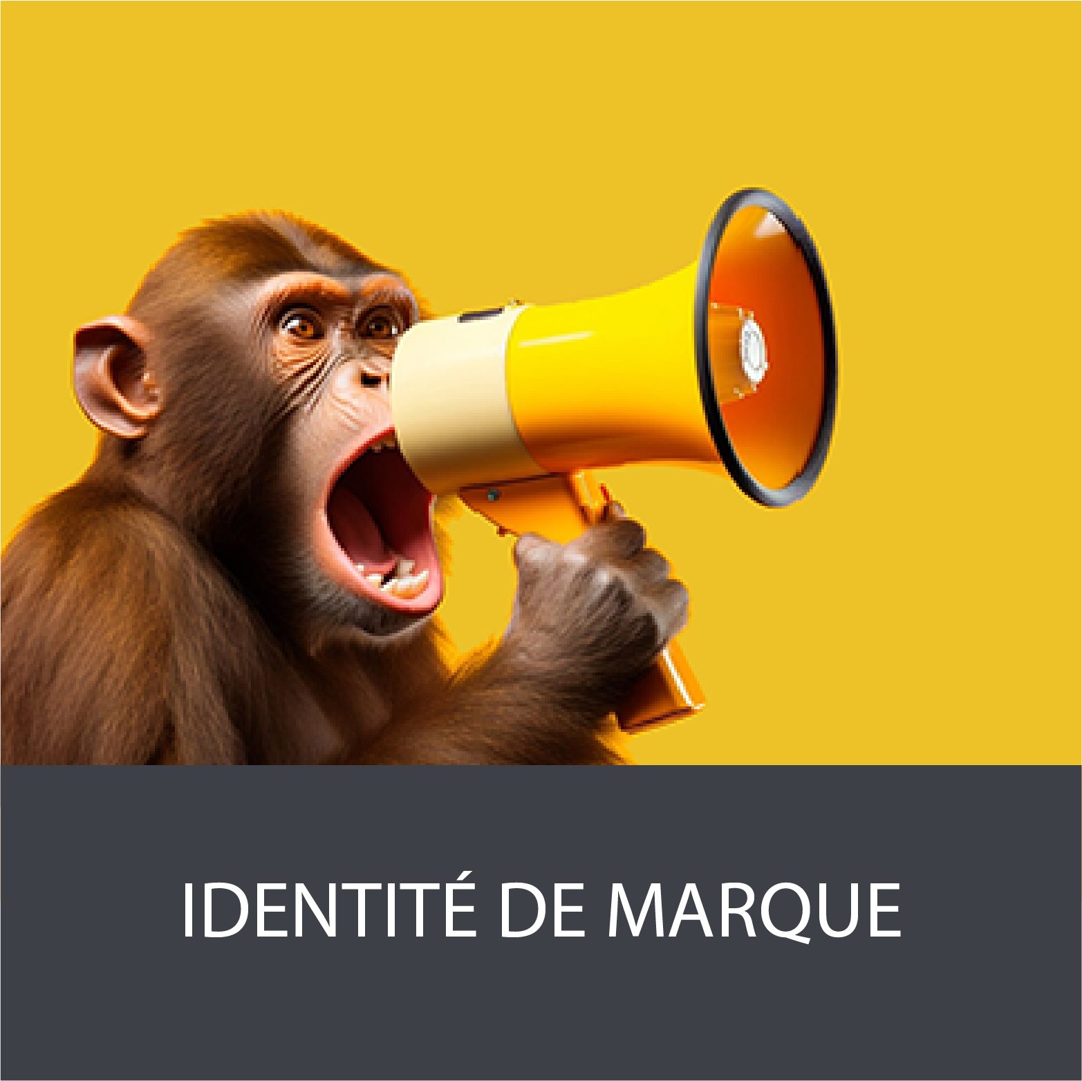 identité de marque