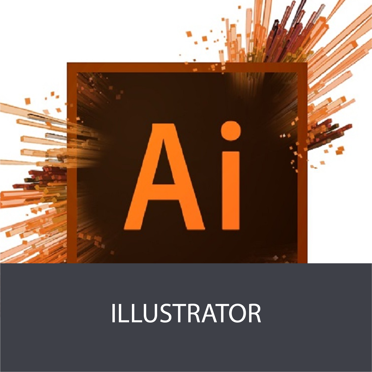 Illustrator