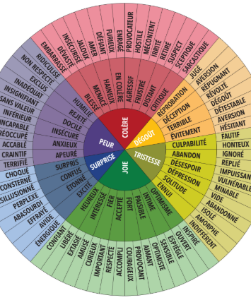 la roue des émotions